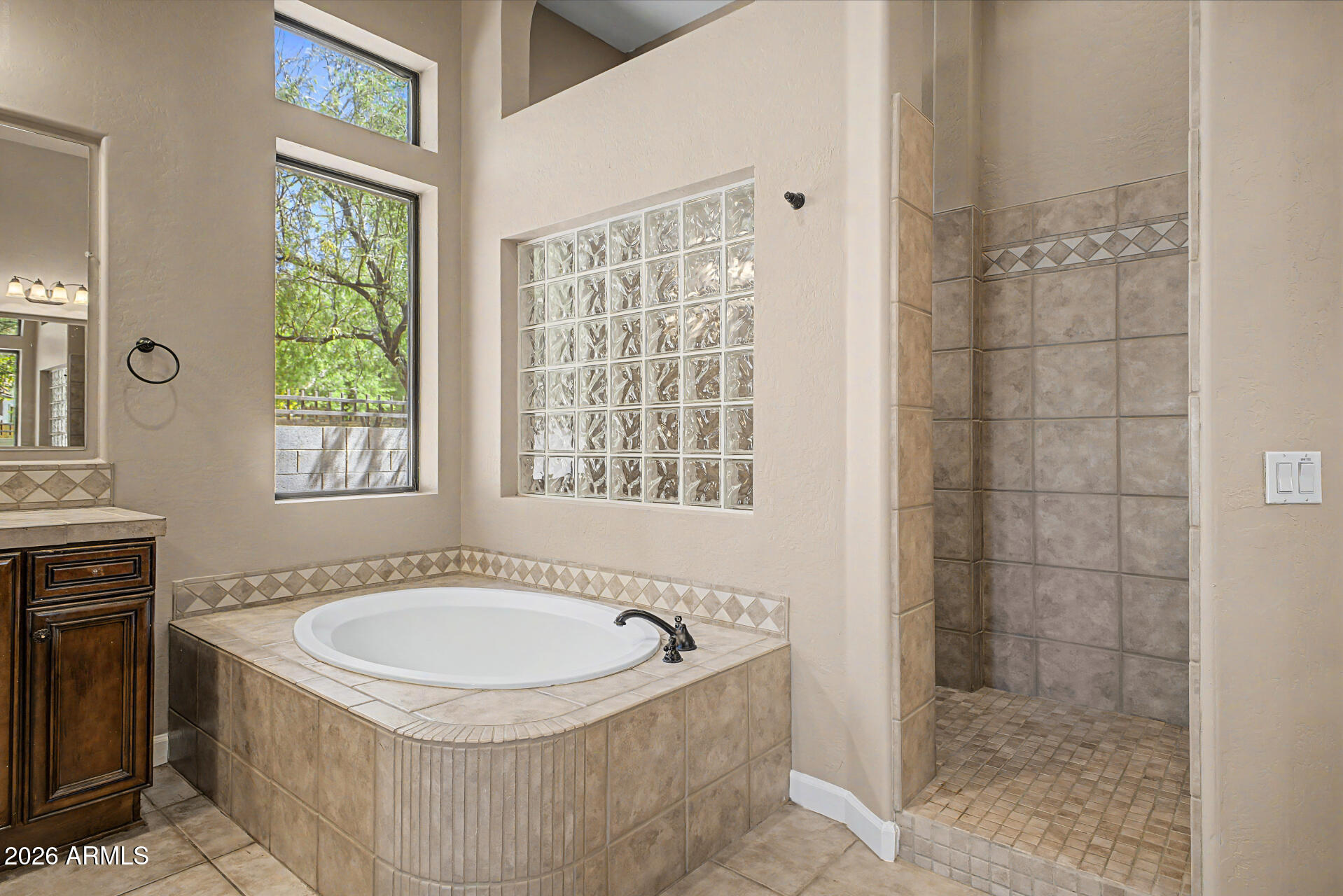 4046 North Silver Ridge Circle Mesa, AZ 85207 - Photo 30 of 61 a bathroom with a tub a sink and a window