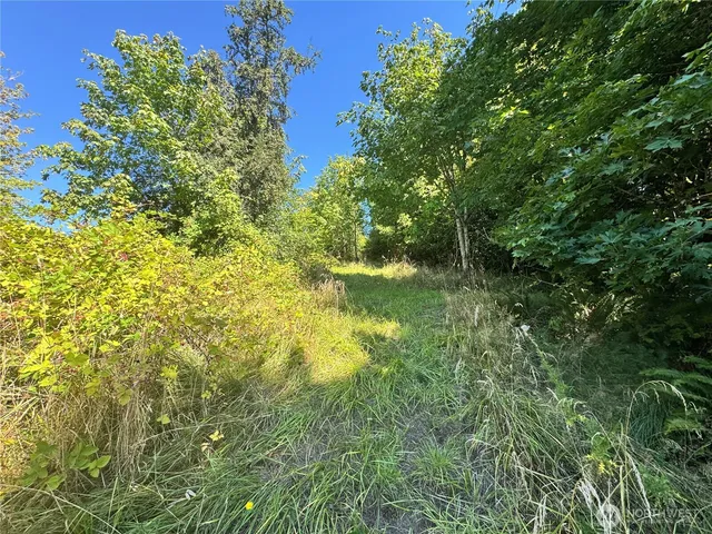 a view of yard with green space