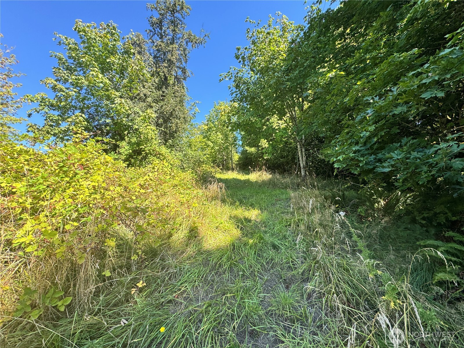 106 Bridgeview Lane Longview, WA 98632 - Photo 6 of 11 a view of yard with green space