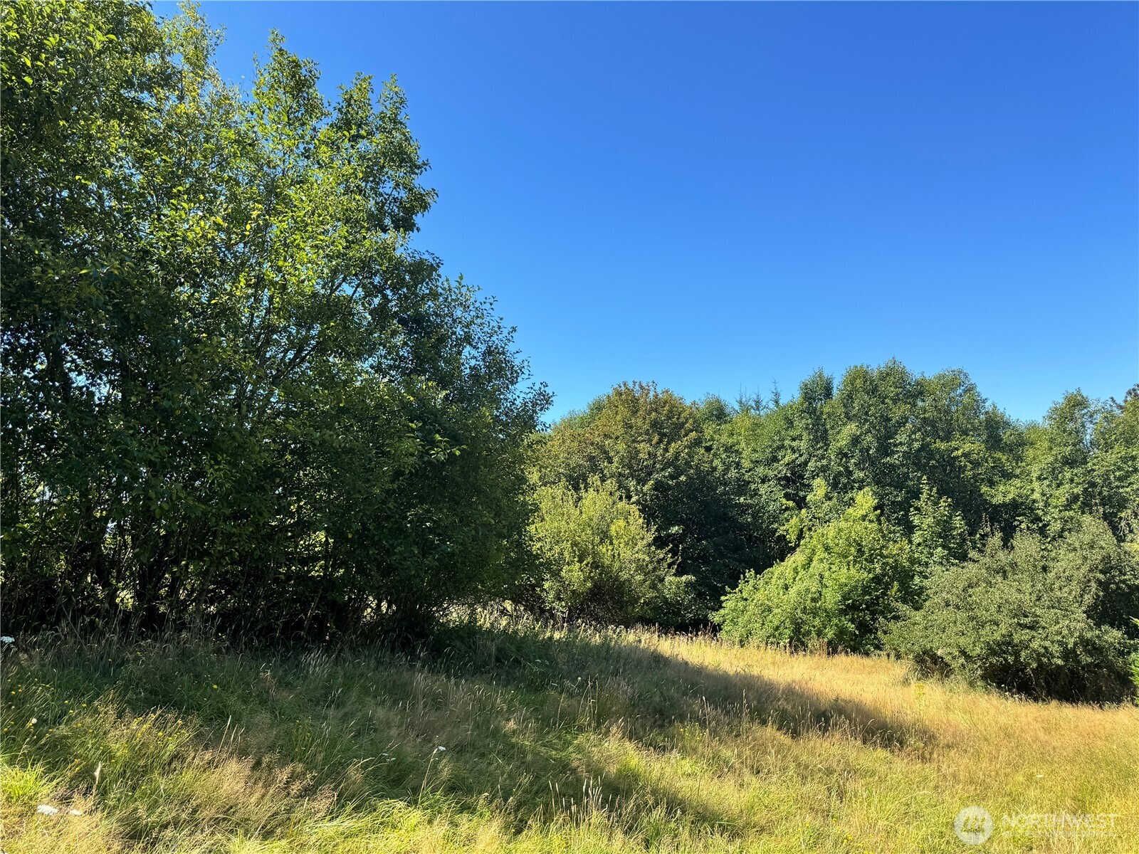 106 Bridgeview Lane Longview, WA 98632 - Photo 7 of 11 a view of a lake view
