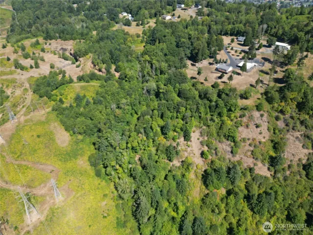 a view of a bunch of trees and bushes