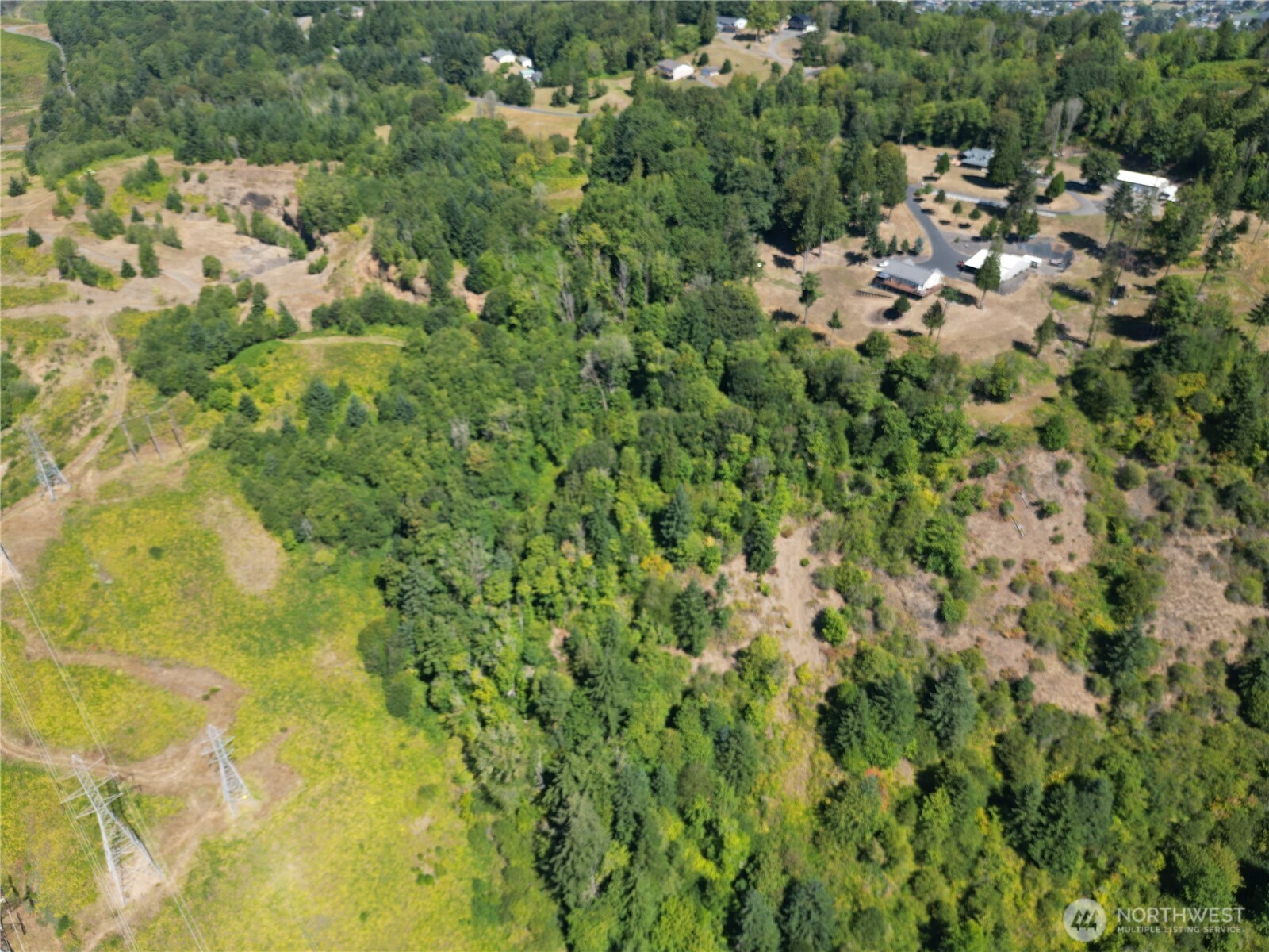 106 Bridgeview Lane Longview, WA 98632 - Photo 9 of 11 a view of a bunch of trees and bushes