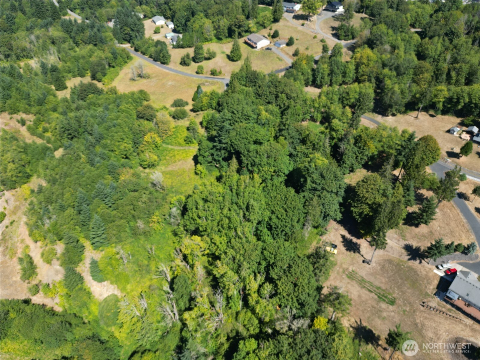 106 Bridgeview Lane Longview, WA 98632 - Photo 10 of 11 a view of a garden with a tree