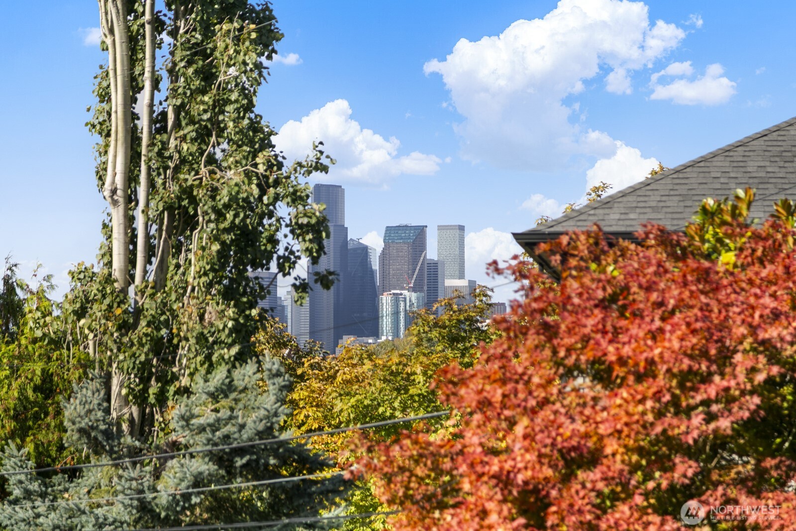 2805 South Grand Street Seattle, WA 98144 - Photo 25 of 31