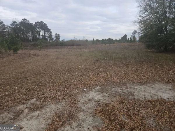 $229,000 | 0 Snow Ridge Road, Ashburn, GA 31714