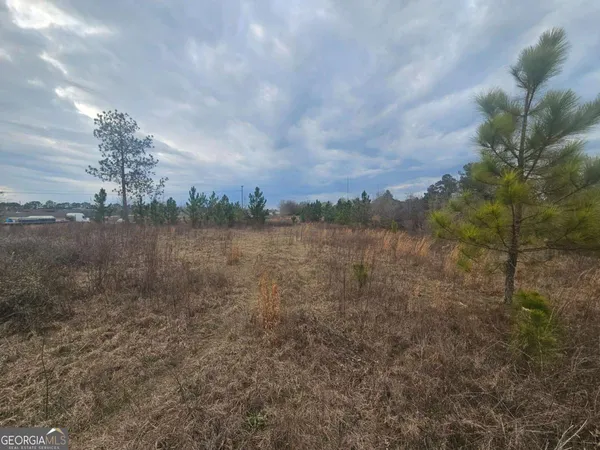 $229,000 | 0 Snow Ridge Road, Ashburn, GA 31714