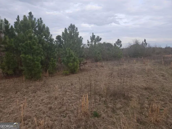 $229,000 | 0 Snow Ridge Road, Ashburn, GA 31714