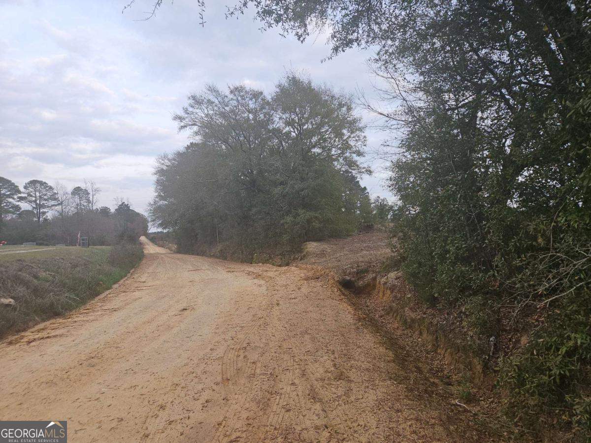 0 Snow Ridge Road Ashburn, GA 31714 - Photo 6 of 8 a view of a dry yard with trees in back