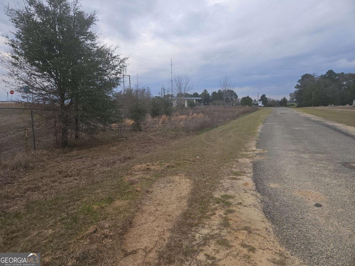 0 Snow Ridge Road Ashburn, GA 31714 - Photo 7 of 8 a view of a dry yard with trees