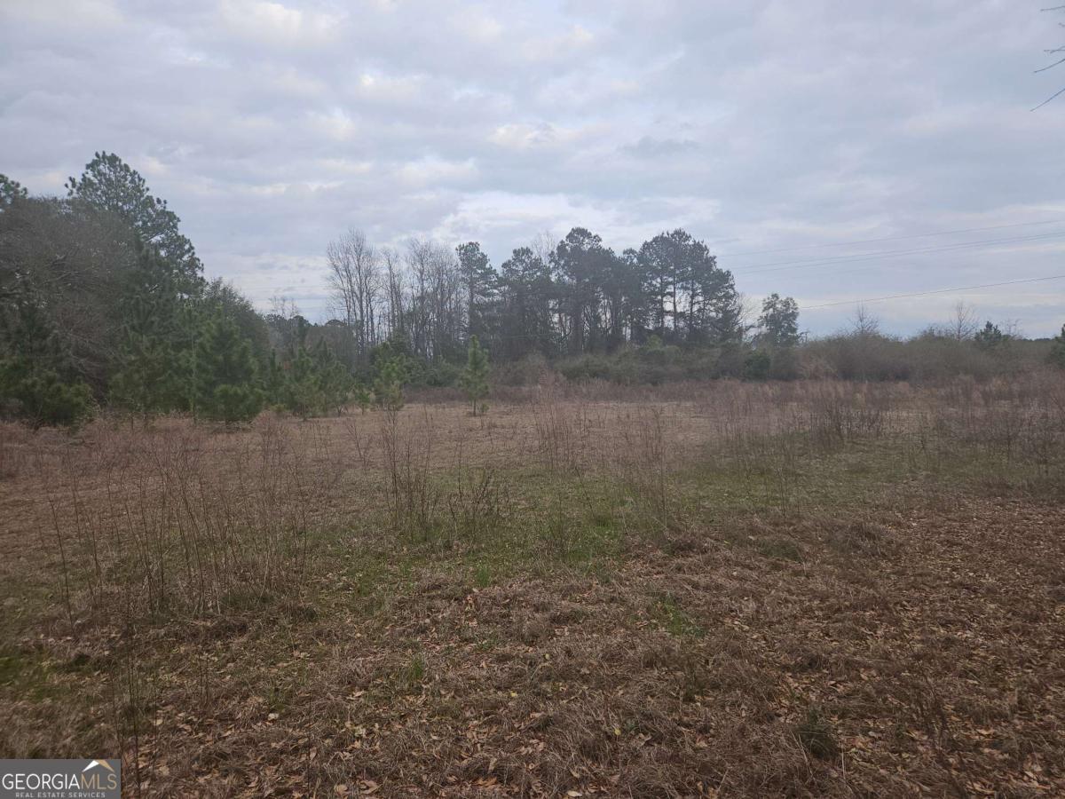 0 Snow Ridge Road Ashburn, GA 31714 - Photo 8 of 8 a view of a lake with a city