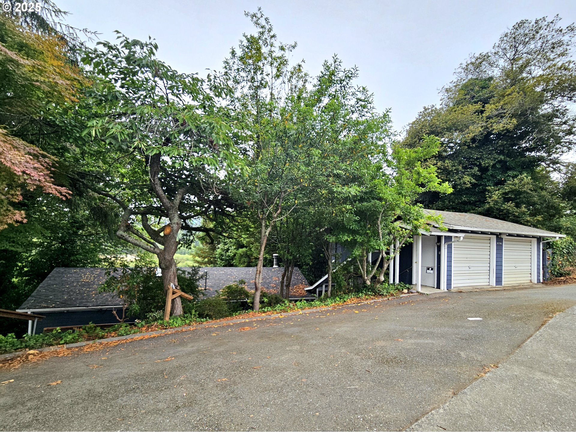 97790 South Bank Chetco River Road Brookings, OR 97415 - Photo 11 of 35 Gallery Image 11