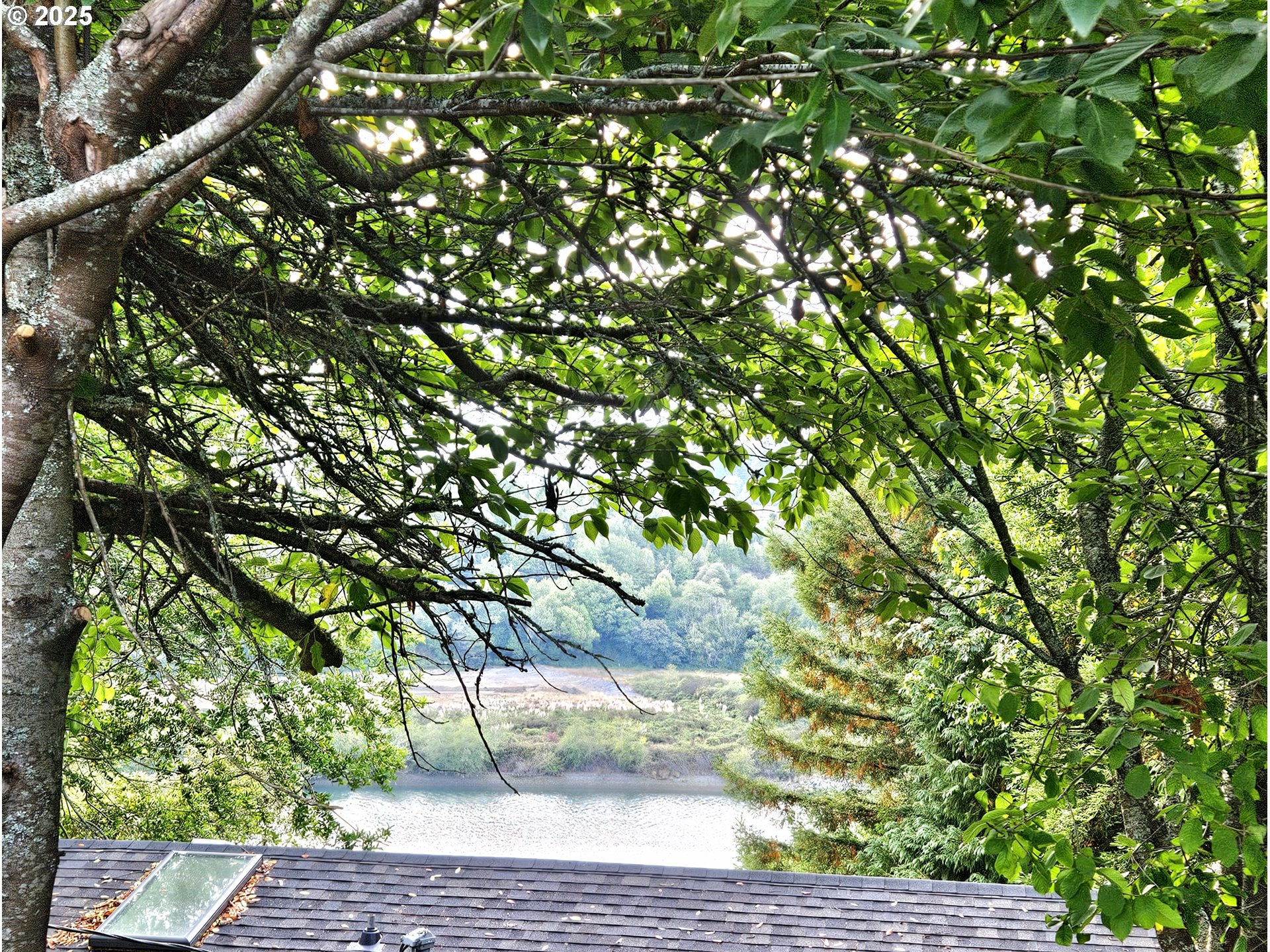 97790 South Bank Chetco River Road Brookings, OR 97415 - Photo 35 of 35 Gallery Image 35