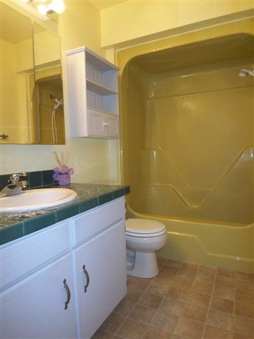208 Windemere Way Anderson, SC 29625 - Photo 10 of 25 Gallery Image 10