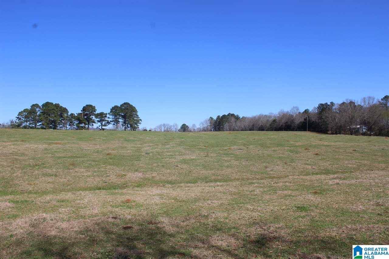 0 Lewis Road Columbiana, AL 35051 - Photo 2 of 10