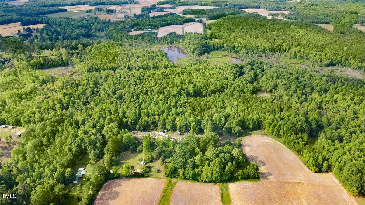 0 Layton Store Road Castalia, NC 27816 - Photo 6 of 17 06-Layton Store Rd-6