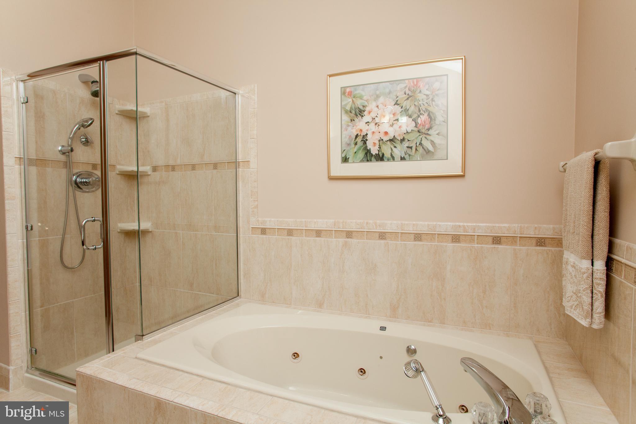 30 Farmhouse Road Milford, NJ 08848 - Photo 23 of 41 Glass Shower & Soaking Tub in Ensuite Bath
