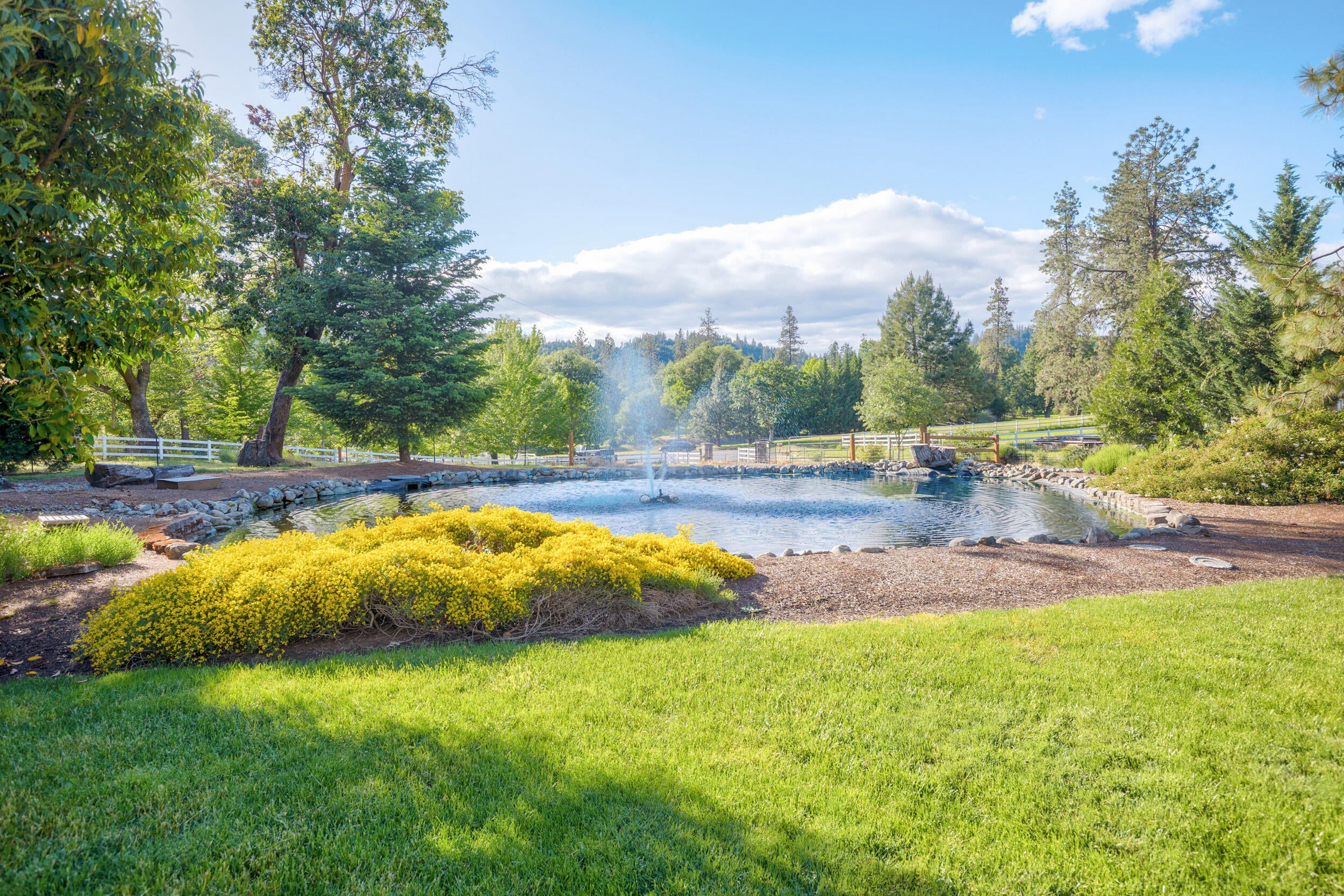 379 Oak Ranch Road Grants Pass, OR 97526 - Photo 2 of 38 32_pond_front1