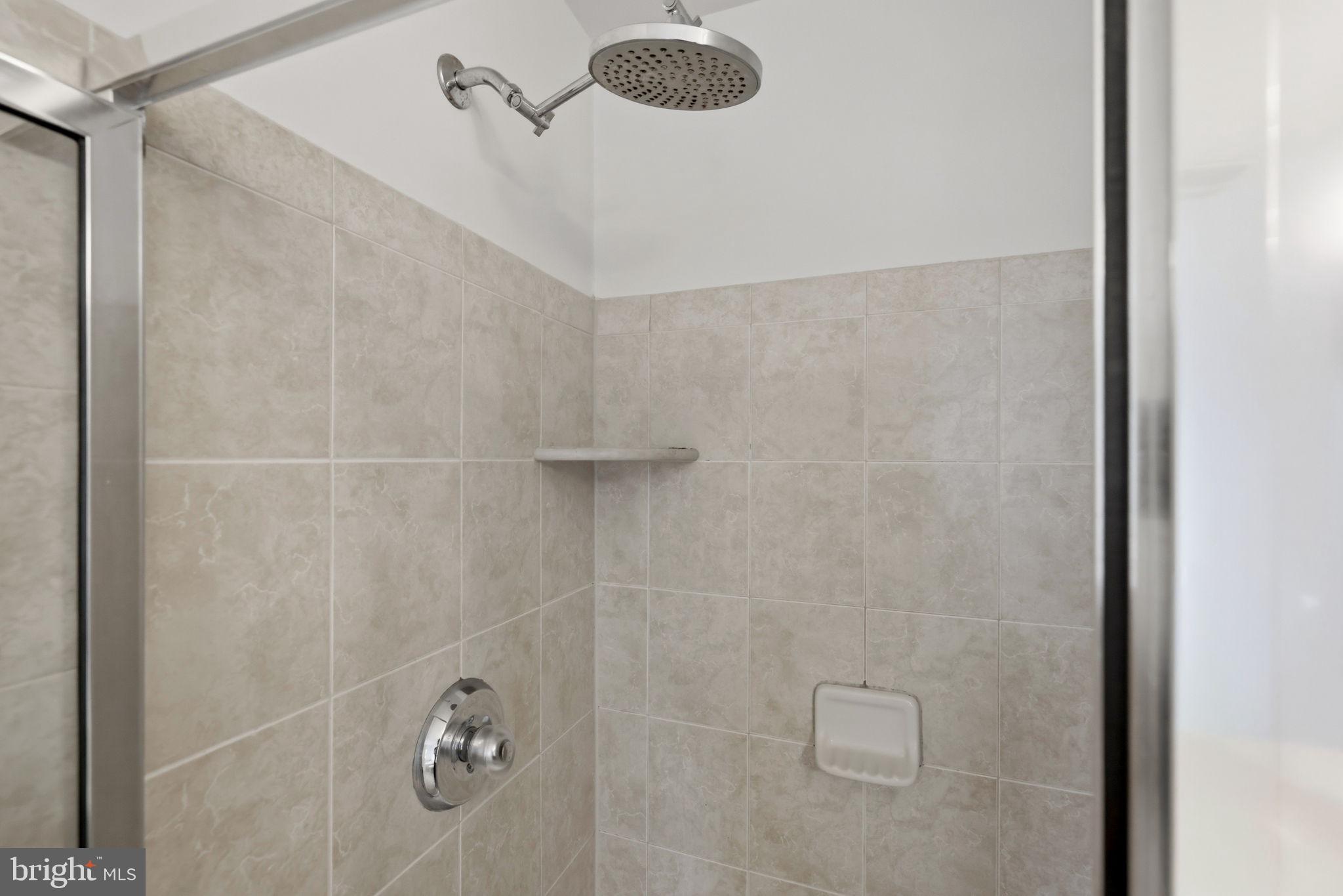 25156 Monteith Terrace Chantilly, VA 20152 - Photo 64 of 72 Modern shower with elegant tiles.