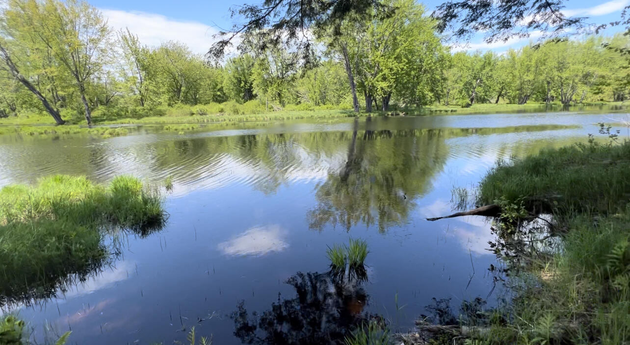 138 Reardon Road Milo, ME 04463 - Photo 112 of 123 Beautiful River Frontage