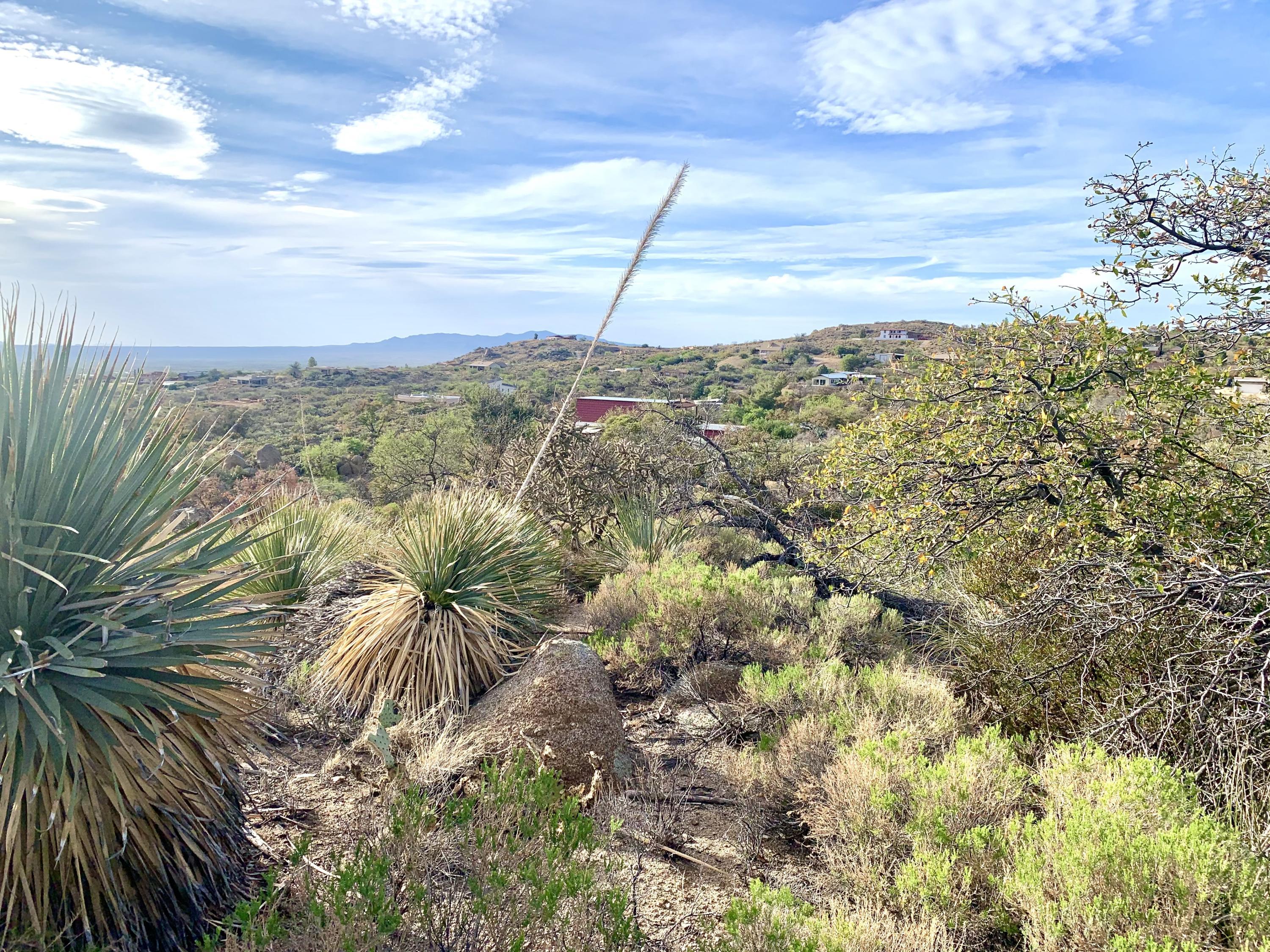 2.5 Acres Off Bachman Wash Road Oracle, AZ 85623 - Photo 2 of 10