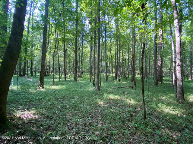51.5 Holbrook Road Ashland, MS 38603 - Photo 14 of 16 unnamed (11)