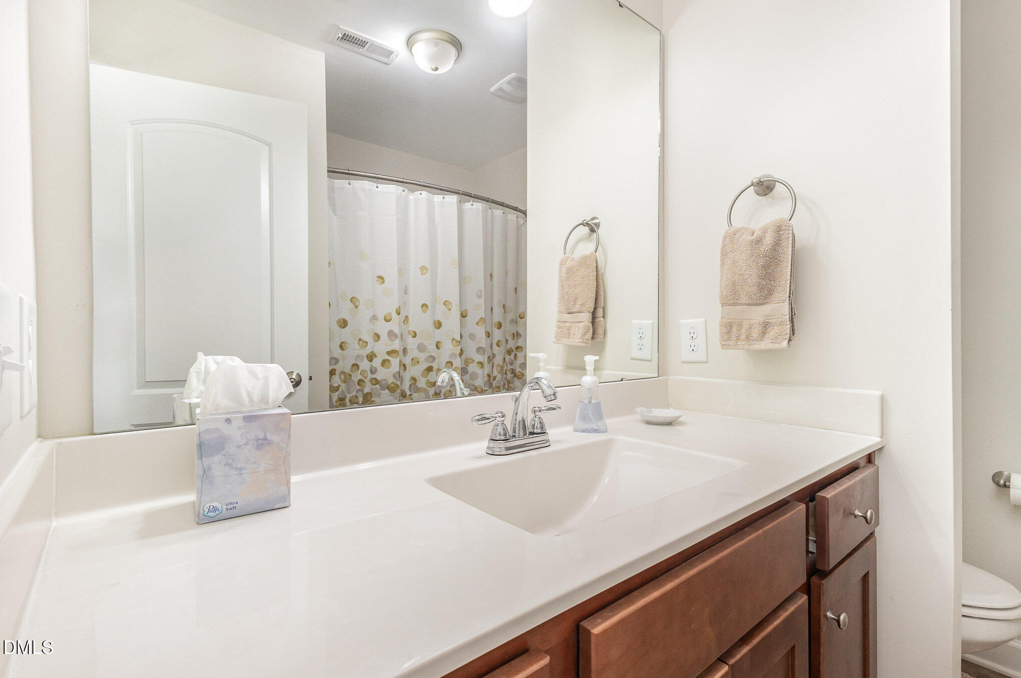 146 Wheat Drive Angier, NC 27501 - Photo 26 of 46 a bathroom with a sink vanity and a mirror