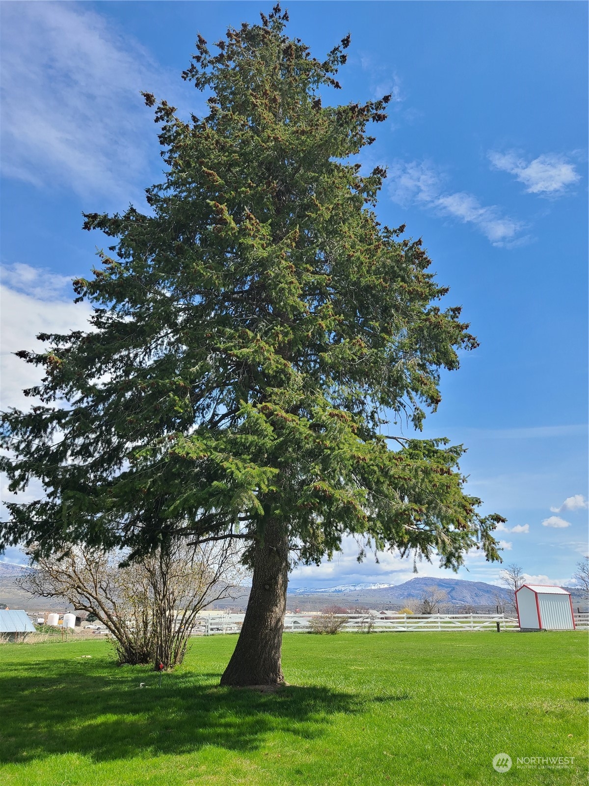 28 Robinson Canyon Road Omak, WA 98841 - Photo 11 of 33 a big yard with lots of green space