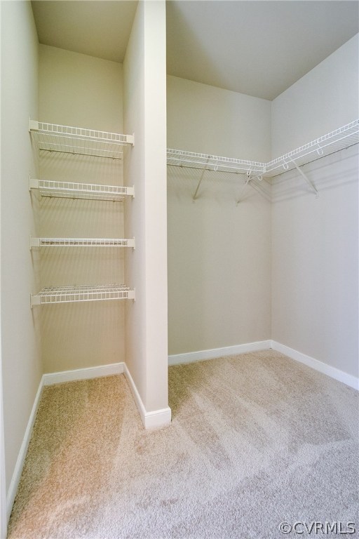 3806 Hazelnut Branch Road Midlothian, VA 23112 - Photo 24 of 38