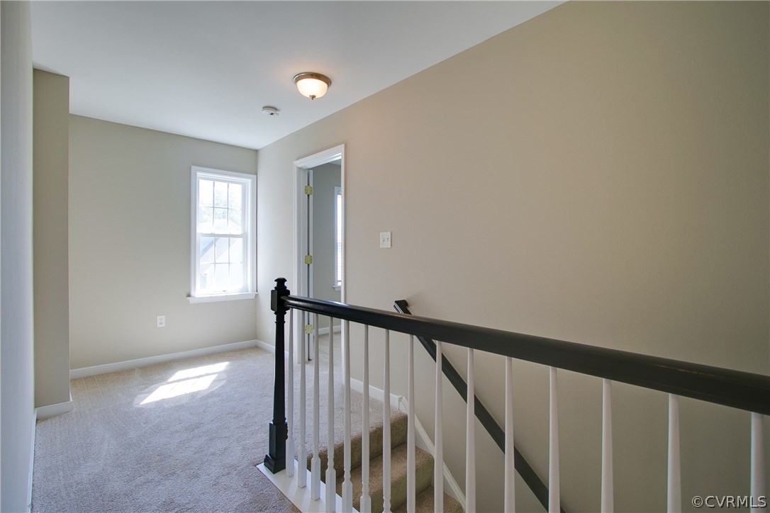 3806 Hazelnut Branch Road Midlothian, VA 23112 - Photo 32 of 38