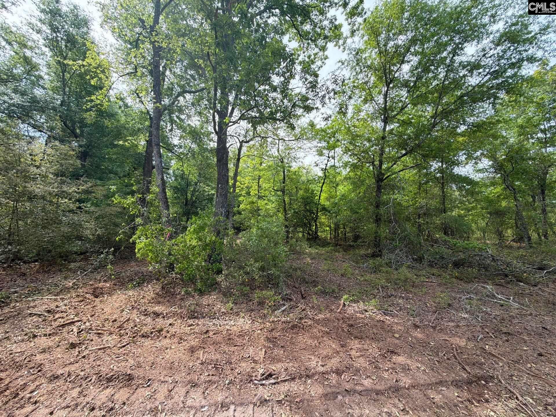 2 Rogers Cemetery Road Aiken, SC 29801 - Photo 3 of 26
