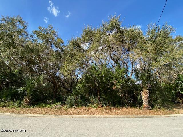 82 Calumet Avenue Ponce Inlet, FL 32127 - Photo 3 of 21 IMG_9052