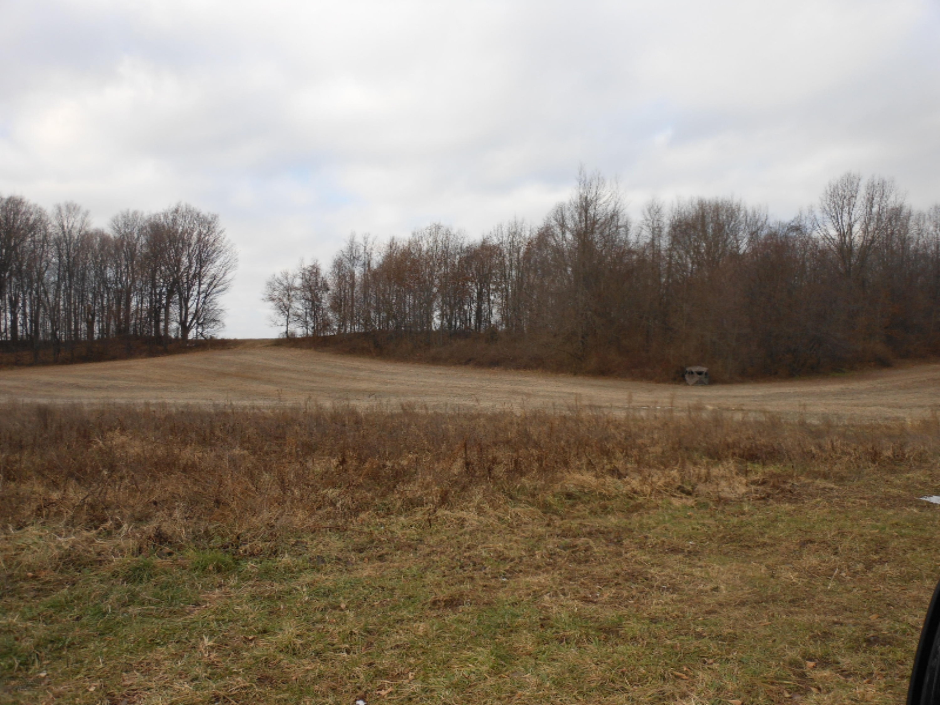 6597 Snyder Road Berrien Springs, MI 49103 - Photo 15 of 18 DSCN5345