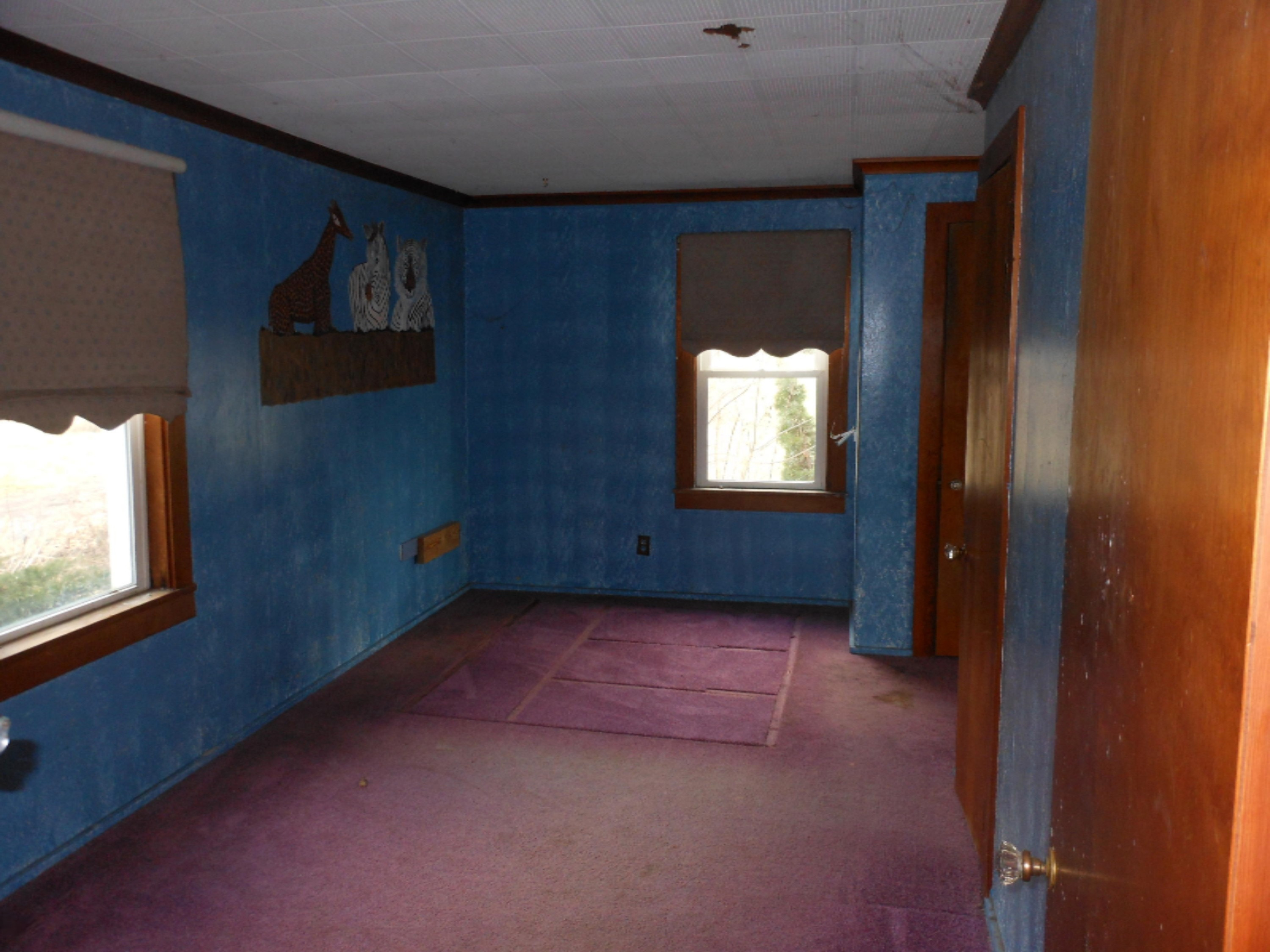 6597 Snyder Road Berrien Springs, MI 49103 - Photo 7 of 18 DSCN5354
