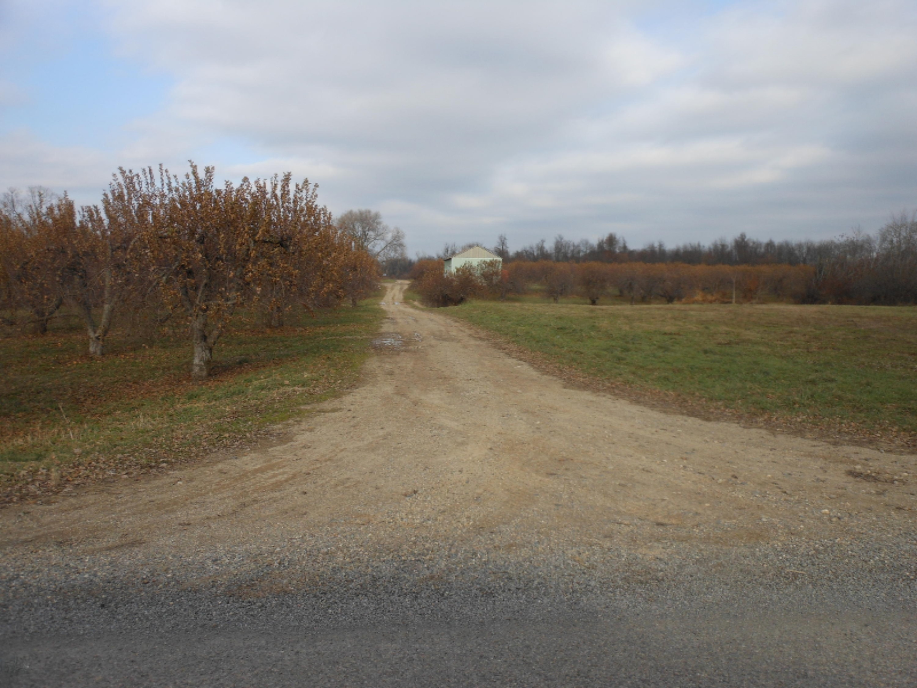 6597 Snyder Road Berrien Springs, MI 49103 - Photo 9 of 18 DSCN5338
