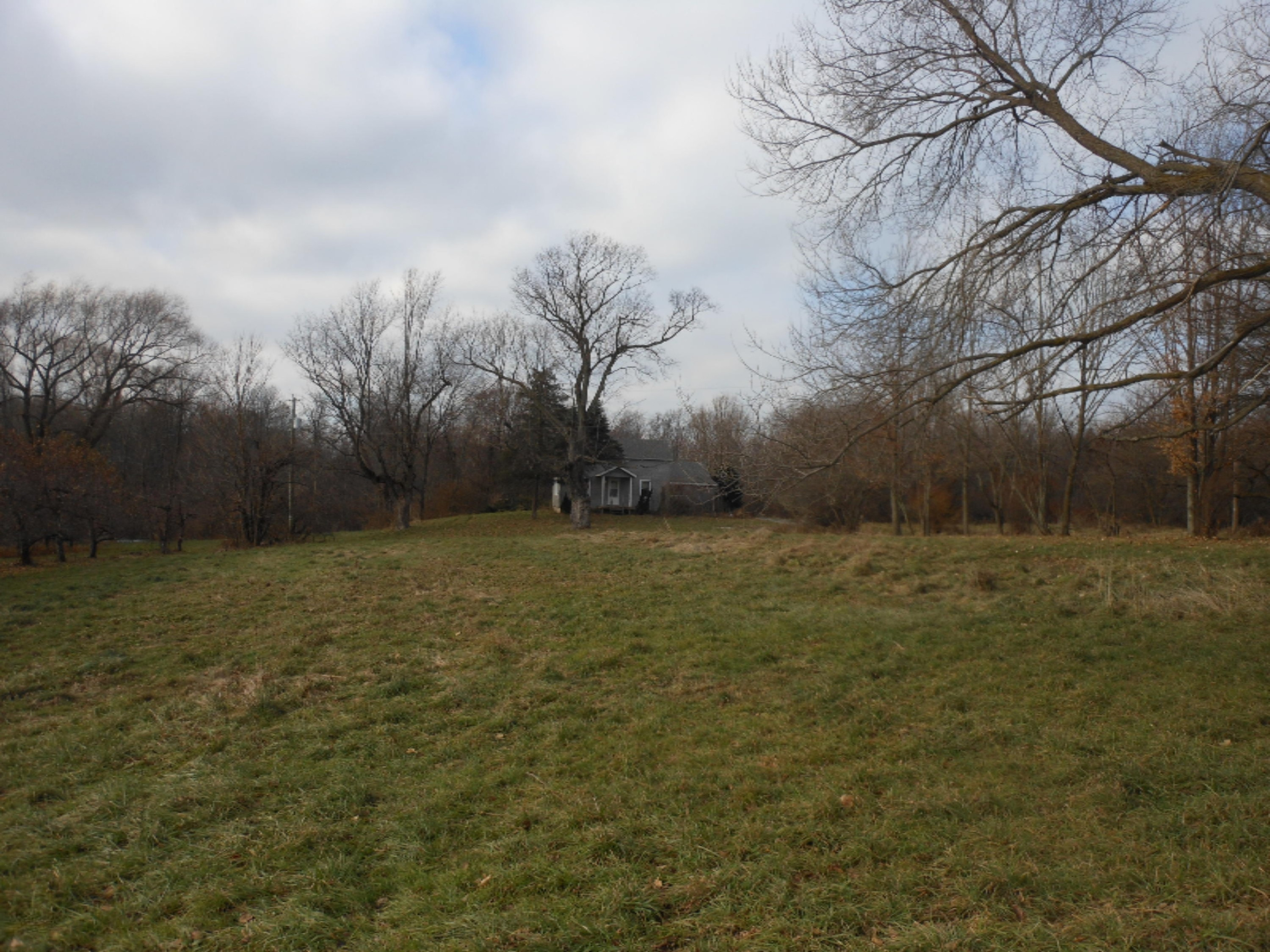 6597 Snyder Road Berrien Springs, MI 49103 - Photo 10 of 18 DSCN5339