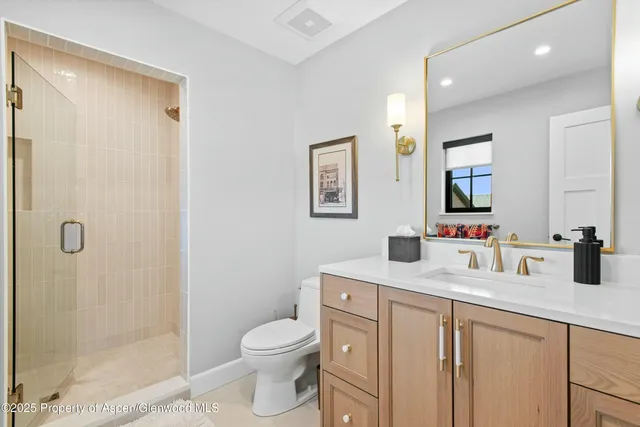 a bathroom with a sink a toilet a mirror a vanity and shower