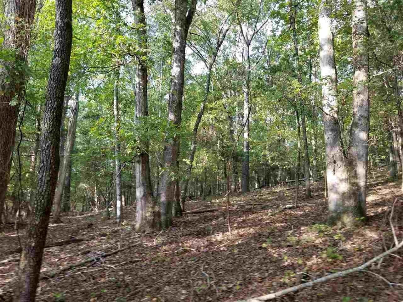 0 Key Cove Road Spring City, TN 37381 - Photo 6 of 8 Gallery Image 6