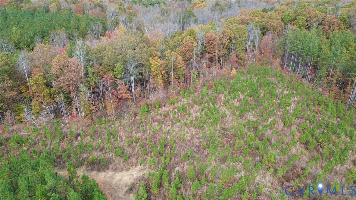 0 Ridge Road Arvonia, VA 23004 - Photo 21 of 50