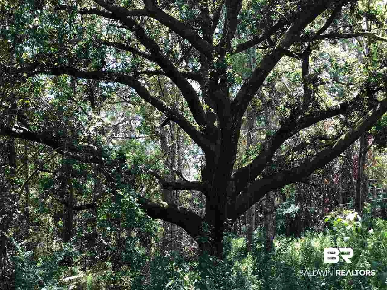Lot 2 Woodland Avenue Foley, AL 36535 - Photo 14 of 26