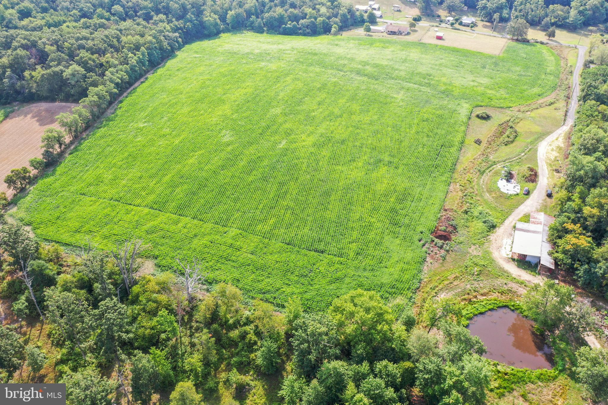 34 Stultz Gap Road Woodstock, VA 22664 - Photo 23 of 24