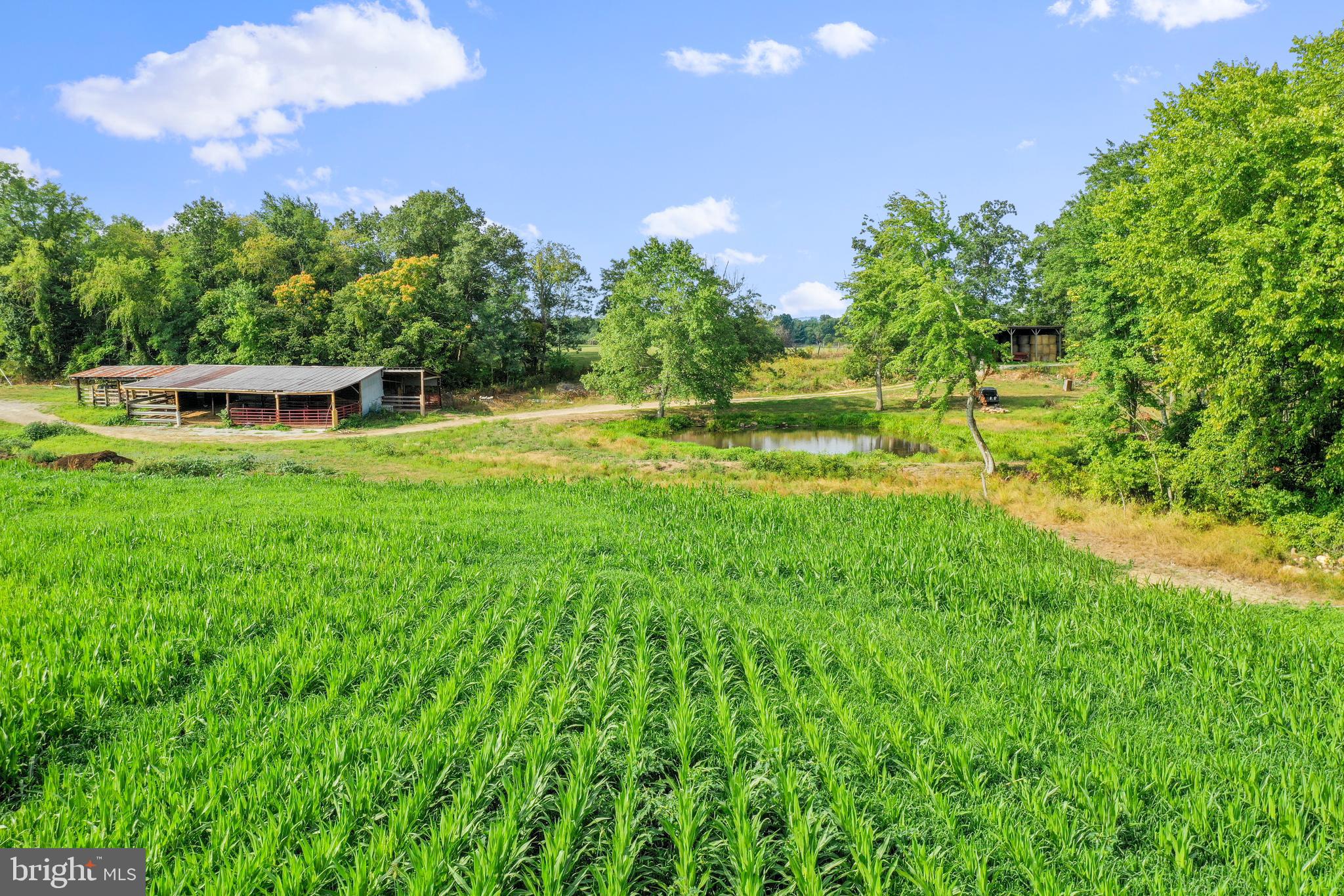 34 Stultz Gap Road Woodstock, VA 22664 - Photo 8 of 24