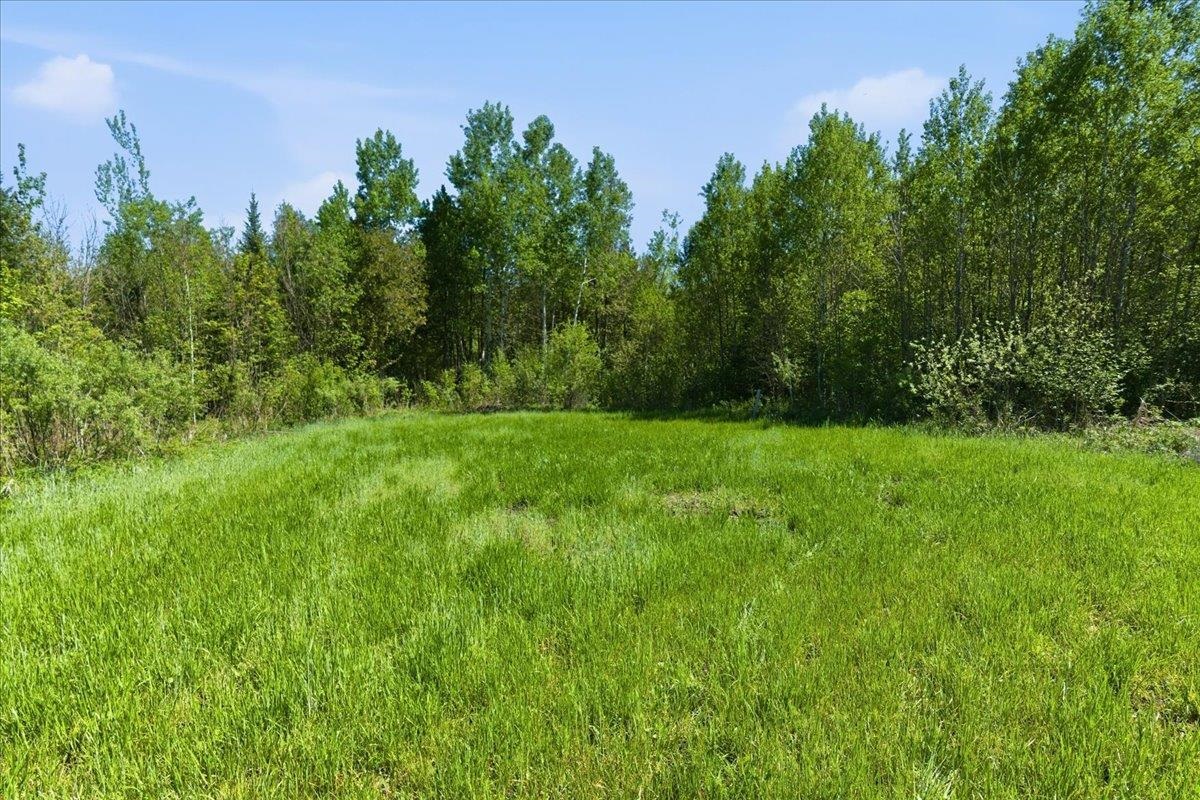 0 County Highway J Deerbrook, WI 54424 - Photo 13 of 78