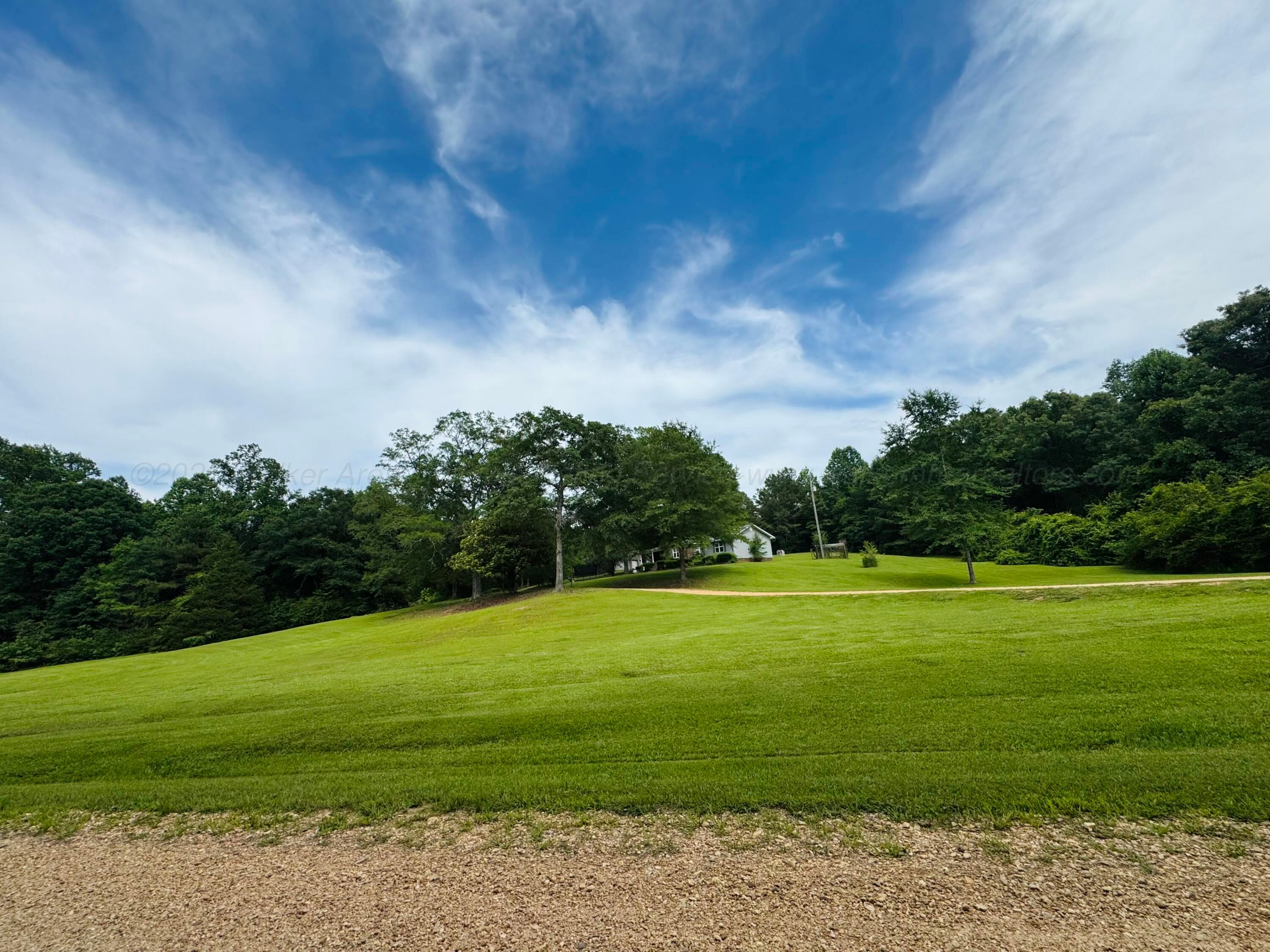 5112 Sand Road Winfield, AL 35594 - Photo 26 of 28 IMG_1707