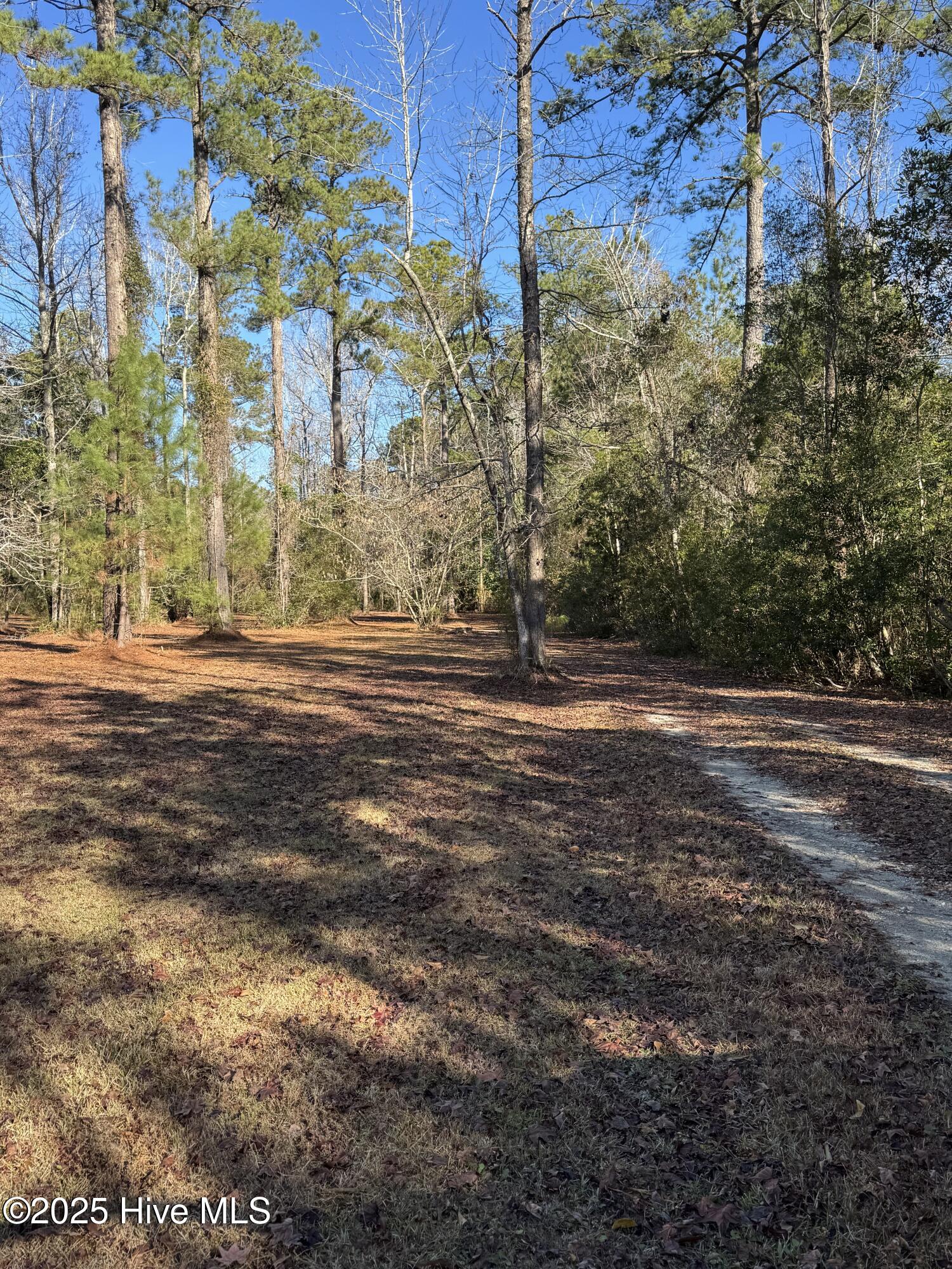 2880 Florence Road Merritt, NC 28556 - Photo 22 of 26 IMG_2681