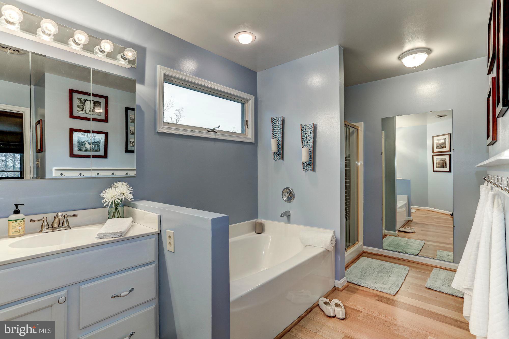 6293 Beach Road Midland, VA 22728 - Photo 17 of 30 Bath (Master)