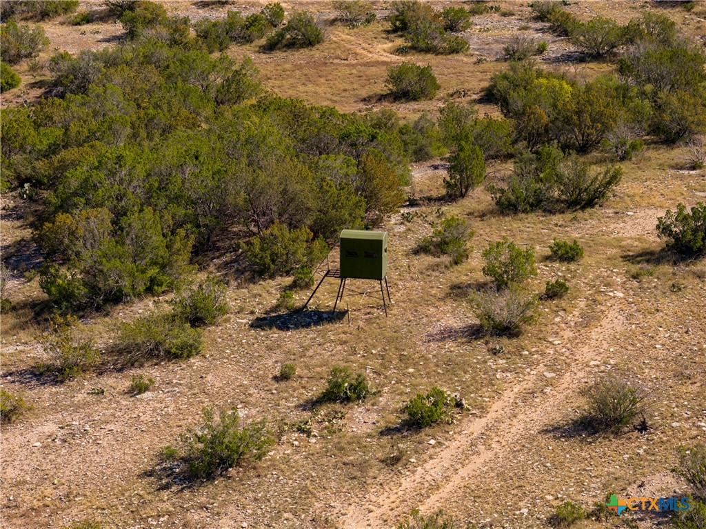 Tbd Van Cleef Road Comstock, TX 78837 - Photo 1 of 1 a view of a yard with plants and trees