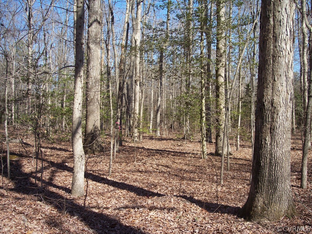 0 Mill Road Henrico, VA 23231 - Photo 2 of 2