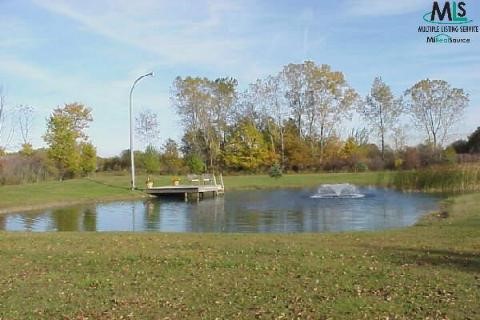10246 Pound Road Columbus, MI 48063 - Photo 7 of 9 793600-6.JPG