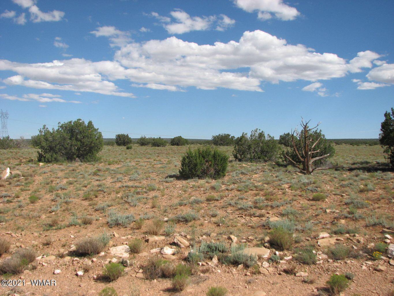 Lot 306 Chevelon Canyon Ranch Heber, AZ 85928 - Photo 1 of 5