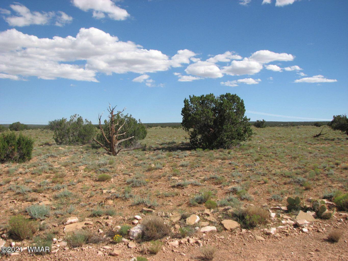 Lot 306 Chevelon Canyon Ranch Heber, AZ 85928 - Photo 2 of 5